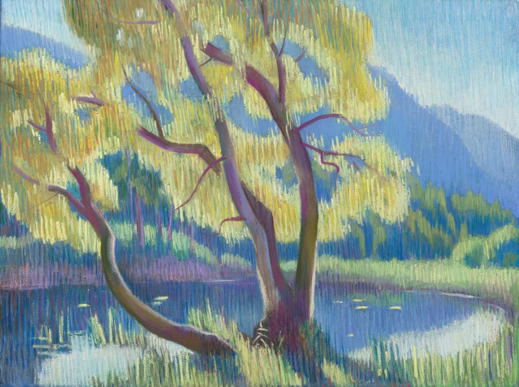 tree on foreground on a mountain pond