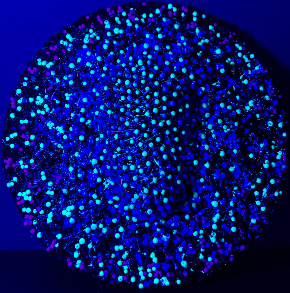 High-relief masks depicting a simple oval reminder of a face, rendered in a palette of black and and blue, with a pointillism effect created by small spheres forming the artwork